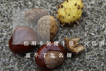 信用卡欠幾十億-欠信用卡幾十萬全部逾期還不了怎么辦