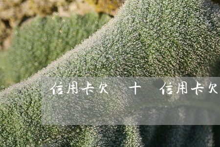 信用卡欠幾十億(信用卡欠幾十億會坐牢嗎)
