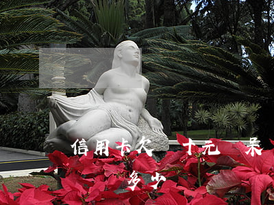 信用卡欠幾十元變呆賬(呆賬的信用卡,還款應該還多少)
