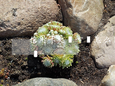 信用卡欠幾十塊怎么還(信用卡欠幾十塊怎么還)