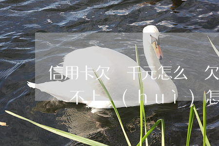 信用卡欠幾千元怎么辦(欠銀行信用卡幾千塊還不上會(huì)怎么樣)