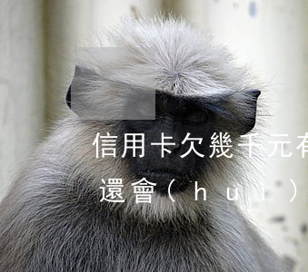 信用卡欠幾千元有事嗎(欠信用卡幾千塊錢不還會(huì)怎么樣)