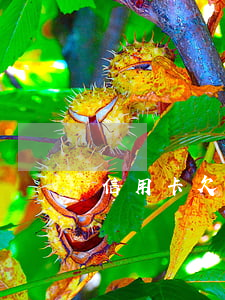 信用卡欠幾千塊不還有什么后果-