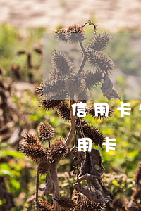 信用卡欠幾千逾期會報(bào)警嗎(欠信用卡幾十萬全部逾期還不了怎么辦)