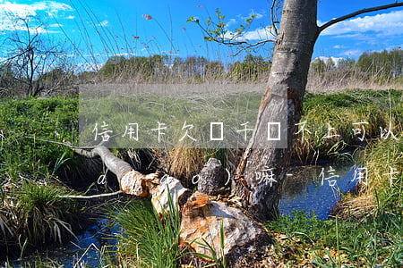 信用卡欠幾千還不上可以協(xié)調(diào)嘛-信用卡欠幾千還不上可以協(xié)調(diào)嘛怎么辦