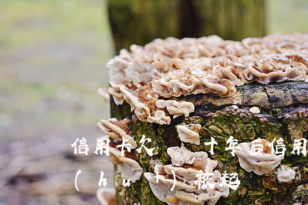 信用卡欠幾塊 十年后(信用卡欠幾塊 十年后會(huì)被起訴)