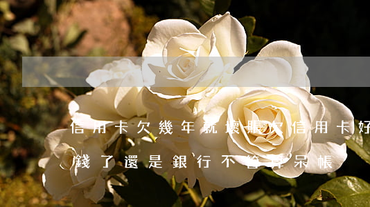 信用卡欠幾年就壞賬 欠信用卡好多年了是還錢了還是銀行不管算呆帳