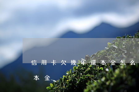 信用卡欠幾年還本金怎么算（信用卡欠幾年還本金）