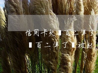 信用卡欠幾百二年了會被起訴嗎-信用卡欠幾百二年了會被起訴嗎知乎