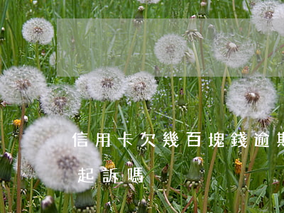 信用卡欠幾百塊錢逾期兩年會(huì)被起訴嗎