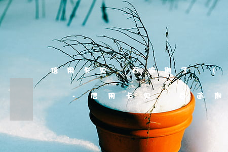 信用卡欠幾百逾期了會(huì)影響征信嗎-信用卡欠幾百逾期了會(huì)影響征信嗎知乎