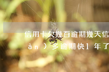 信用卡欠幾百逾期幾天(信用卡欠了2萬(wàn)多逾期快1年了)