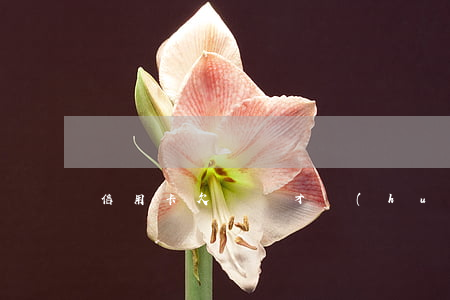 信用卡欠幾萬才會(huì)刑事