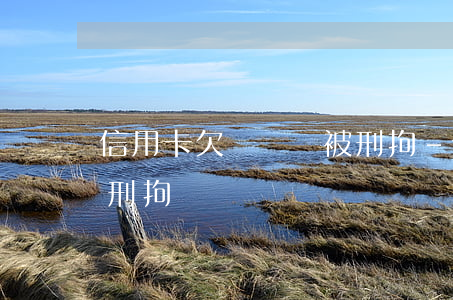 信用卡欠幾萬會被刑拘-信用卡欠幾萬會被刑拘嗎