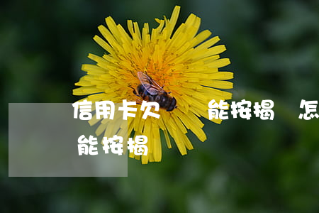 信用卡欠幾萬能按揭嗎怎么還（信用卡欠幾萬能按揭嗎）