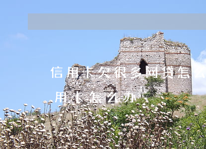 信用卡欠很多网贷怎么办(欠了很多网贷和信用卡怎么办)