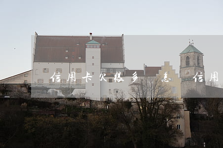 信用卡欠很多錢怎樣 信用卡欠錢怎樣查黑名單