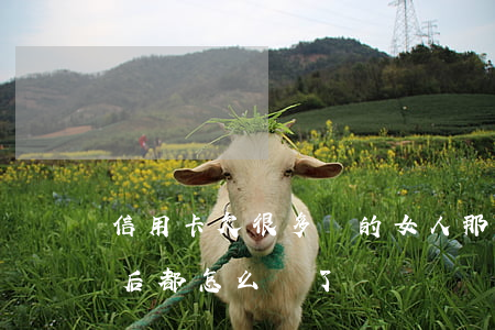 信用卡欠很多錢的女人(那些欠信用卡的人最后都怎么樣了)