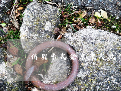 信用卡欠徐京京(欠款信用卡)