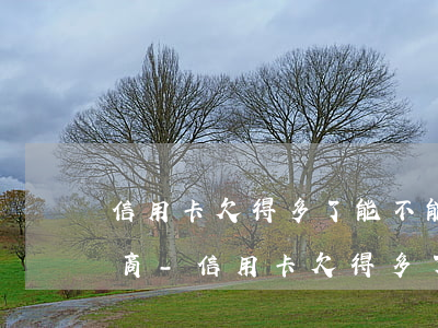 信用卡欠得多了能不能和銀行協(xié)商-信用卡欠得多了能不能和銀行協(xié)商還款