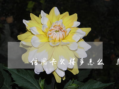 信用卡欠得多怎么還款(欠信用卡太多了)