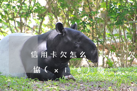 信用卡欠怎么換最快-欠信用卡還不上怎么協(xié)商