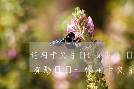 信用卡欠手續(xù)費(fèi)對征信有影響嗎-信用卡欠手續(xù)費(fèi)對征信有影響嗎知乎