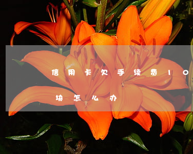 信用卡欠手续费10块 信用卡欠手续费10块怎么办