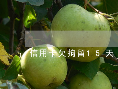 信用卡欠拘留15天