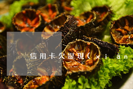 信用卡欠提現(xiàn)最低還款