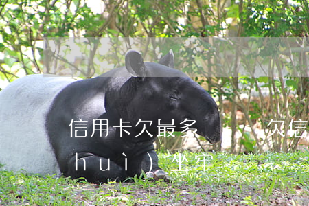 信用卡欠最多辦幾張(欠信用卡多少金額會(huì)坐牢)