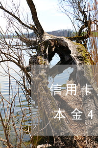 信用卡欠本金4萬6還不上怎么辦（信用卡欠本金4萬3）