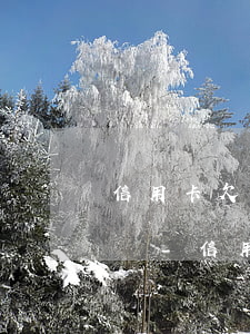 信用卡欠本金5500會(huì)被起訴嗎-信用卡欠本金5500會(huì)被起訴嗎知乎
