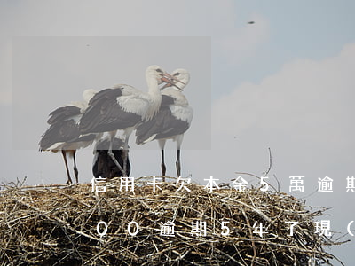 信用卡欠本金5萬逾期一年(欠信用卡10000逾期5年了,現(xiàn)在可以還嗎?)