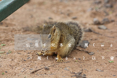 信用卡欠本金一萬(wàn)以下(欠信用卡一萬(wàn)以下會(huì)坐牢嗎)