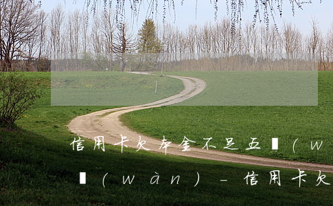 信用卡欠本金不足五萬(wàn)要還20萬(wàn)-信用卡欠本金不足五萬(wàn)要還20萬(wàn)怎么辦