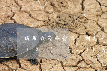 信用卡欠本金只給利息-欠信用卡的錢(qián)無(wú)力償還可以只還本金嗎
