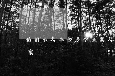 信用卡欠本金多少立案(欠信用卡金額多少立案)