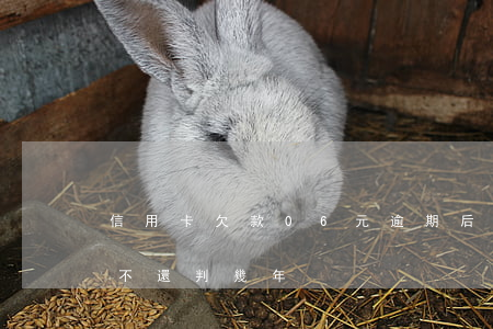 信用卡欠款06元逾期后果(信用卡6萬逾期不還判幾年)