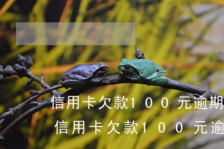 信用卡欠款100元逾期一個(gè)月-信用卡欠款100元逾期一個(gè)月會(huì)怎樣