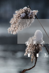 信用卡欠款10多萬應該怎么還(信用卡欠十來萬怎么辦)