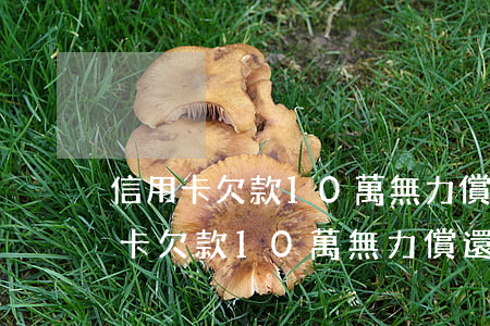 信用卡欠款10萬無力償還要判幾年-信用卡欠款10萬無力償還要判幾年呢