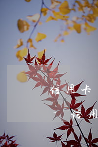 信用卡欠款11萬(wàn)還不上怎么辦-信用卡欠款11萬(wàn)還不上怎么辦呢