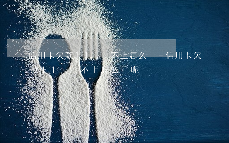信用卡欠款11萬還不上怎么辦-信用卡欠款11萬還不上怎么辦呢