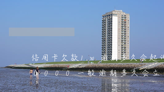 信用卡欠款1w逾期多久会起诉(欠信用卡50000一般逾期多久会立案)
