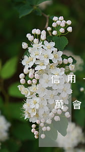 信用卡欠款1萬以下不還(信用卡欠款不到一萬會(huì)被起訴嗎)