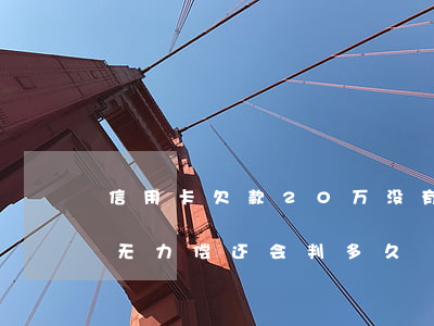 信用卡欠款20万没有逾期(欠信用卡20万无力偿还会判多久)