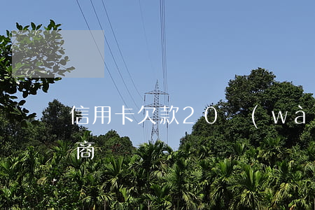 信用卡欠款20萬(wàn)協(xié)商