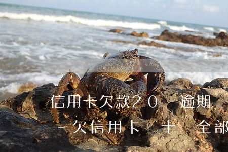 信用卡欠款20萬逾期銀行報(bào)警-欠信用卡幾十萬全部逾期還不了怎么辦