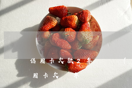 信用卡欠款2年沒還會(huì)怎么樣(信用卡欠兩年)